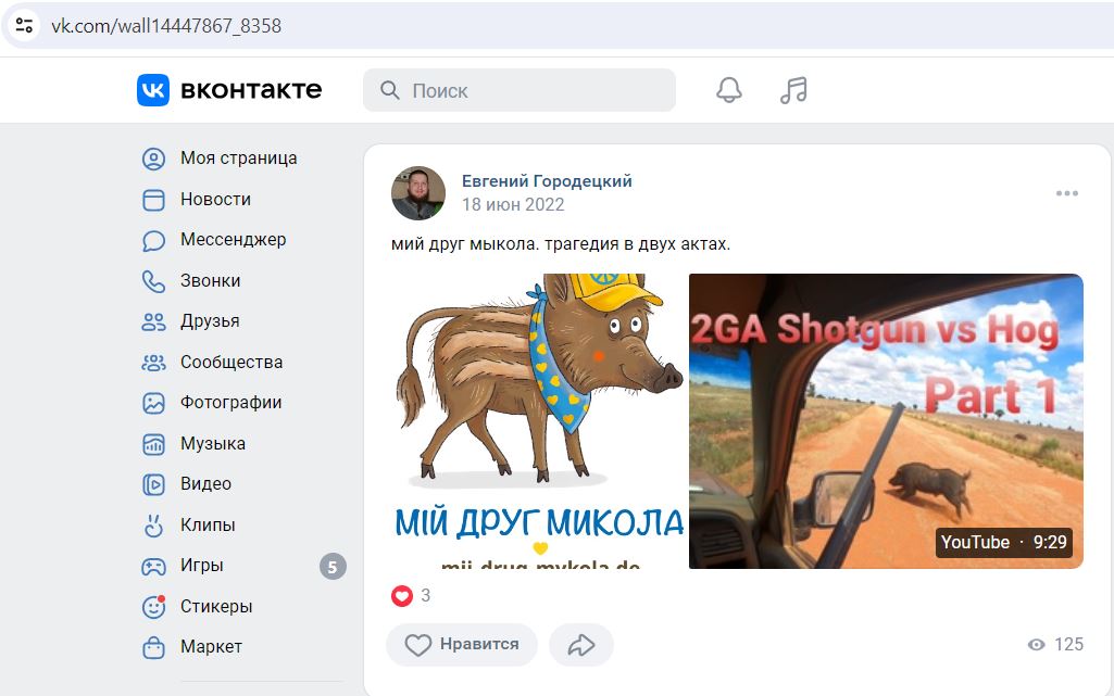 Gorodetskiy_Evgeniy_001__SoR_012__-VK.jpg